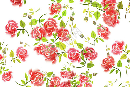 蔷薇花背景图片