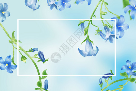 花瓣漂浮小花花卉背景插画