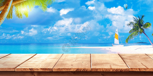 热带海鸟夏日清凉背景设计图片