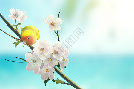 樱花树上的鹦鹉图片