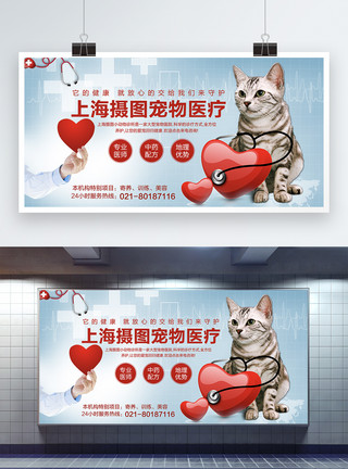 猫猫狗狗素材宠物医疗展板模板