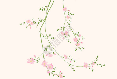淡粉色花朵墙纸小清新唯美花插画