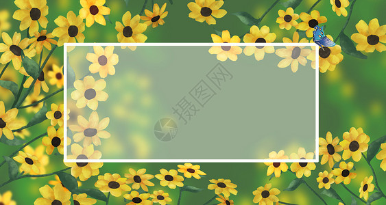 小黄花框花卉背景插画