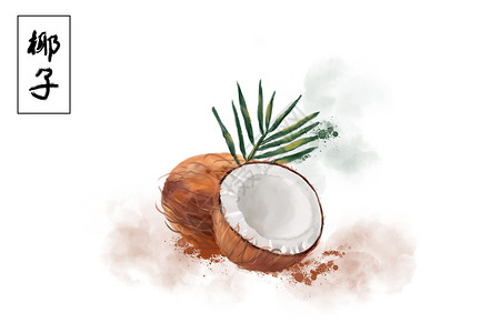 椰子水果插画背景图片