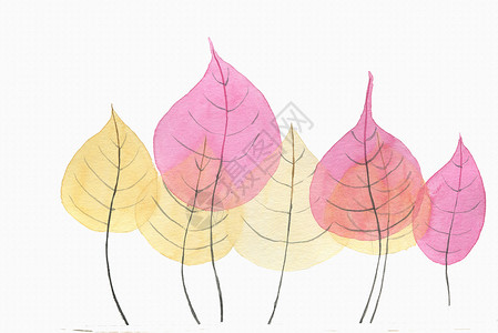 彩叶姜水彩手绘树叶插画