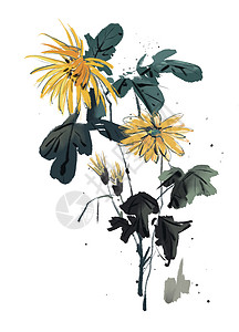 黄色向日葵边框九月菊插画