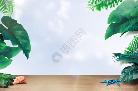 热带植物花清新植物背景设计图片