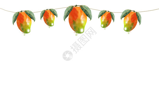 夏季水果之芒果芒果手绘二分之一留白插画