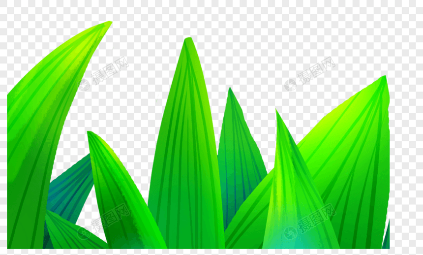 绿色的草丛图片