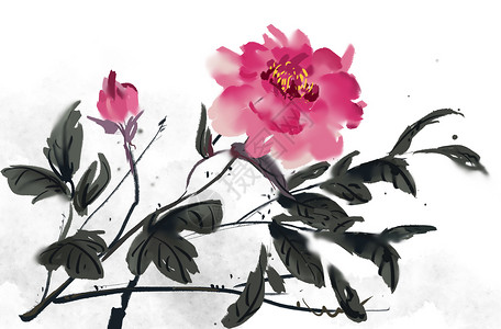 牡丹花水墨植物边框高清图片