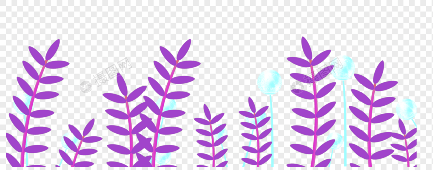 紫色的植物图片