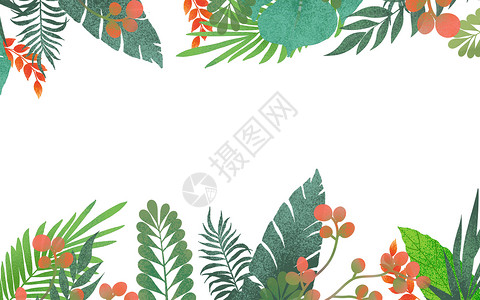夏季淘宝夏季热带植物背景插画