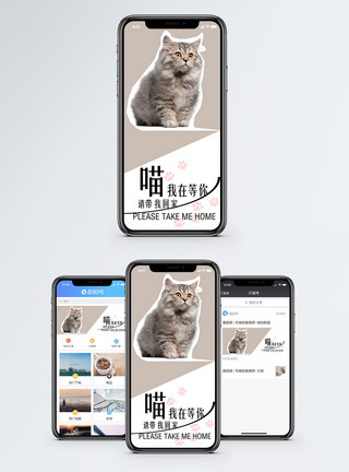 猫手机举素材萌宠手机海报配图模板