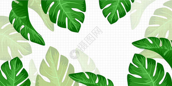 清爽绿色叶子植物背景素材矢量插图插画