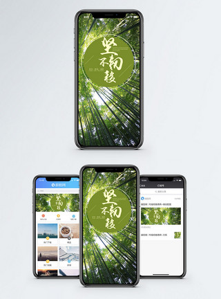 竹林阳光坚韧手机海报配图模板