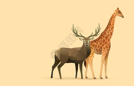 动物折纸lowpoly折纸动物插画