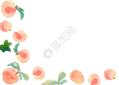 水蜜桃水彩手绘二分之一留白背景高清图片