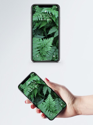 绿色叶子素材绿叶手机壁纸模板