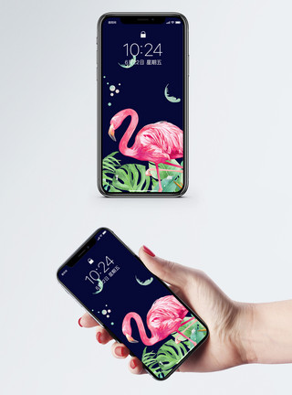 粉色动物火烈鸟情侣手机壁纸模板
