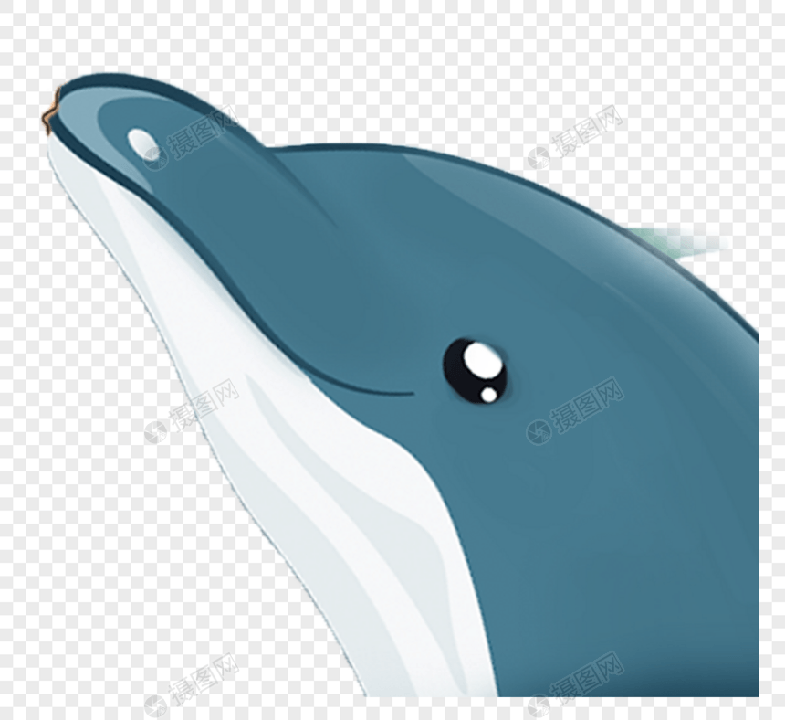 小鲸鱼图片