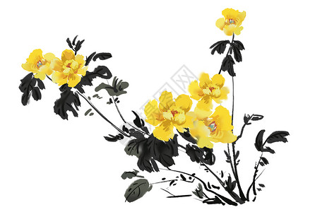 变黄的植物黄牡丹插画