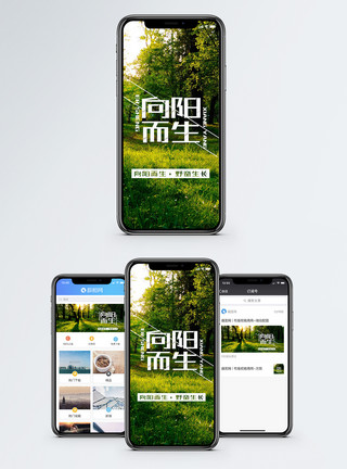 绿色草地第一篇向阳而生手机海报配图模板