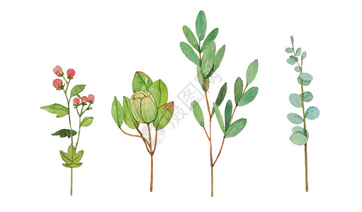 植物文艺手绘绿叶高清图片