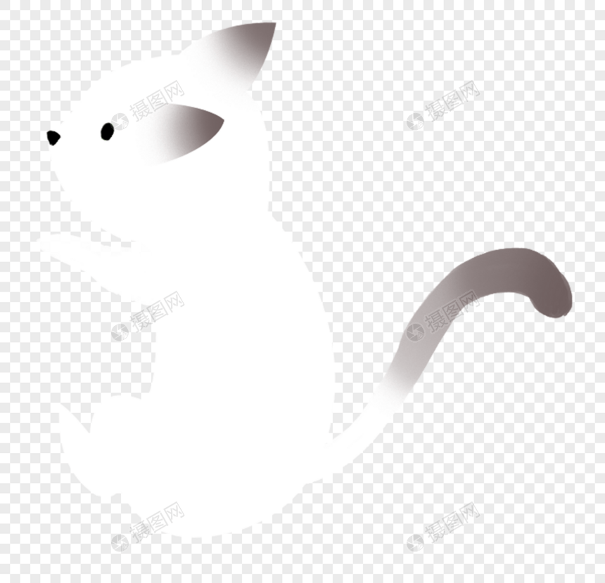 白色的小猫图片