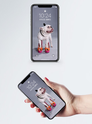 笑的动物穿着高跟鞋的狗手机壁纸模板