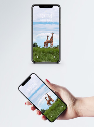 笑的动物长颈鹿手机壁纸模板