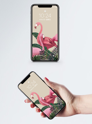 粉色动物火烈鸟手机屏保模板
