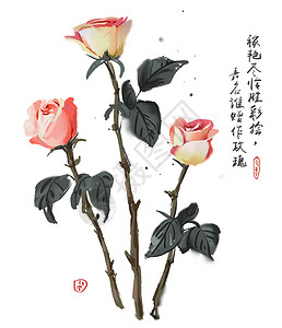 粉色玫瑰花边框玫瑰花插画