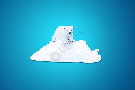 北极熊和企鹅冰山融化设计图片