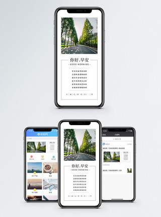 阳光穿过树林你好早安日签手机海报配图模板