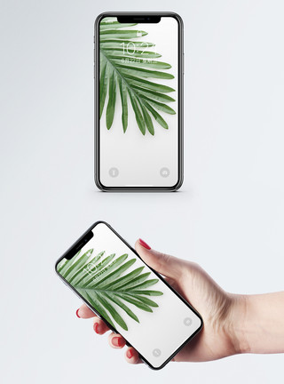 素净图片植物手机壁纸模板