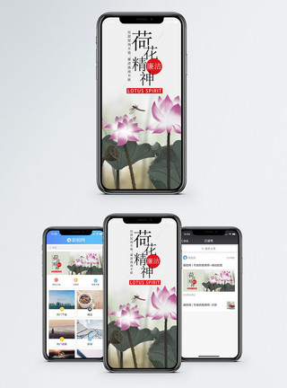 在池塘里莲花荷花精神手机海报配图模板