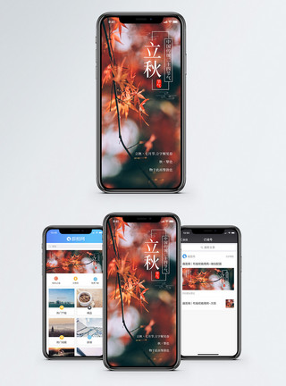 枫树枫叶立秋节气手机海报配图模板