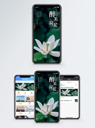 醉美记忆醉美荷花手机海报配图模板