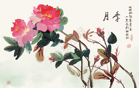 香山植物园月季插画