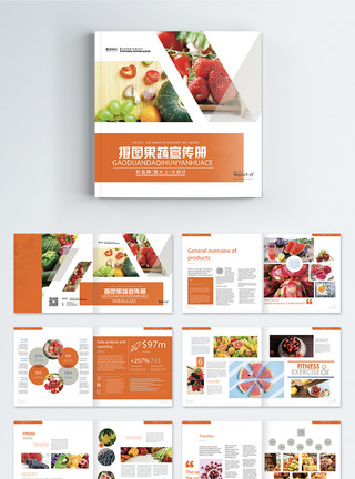 橙色水果新鲜果蔬食品画册整套模板