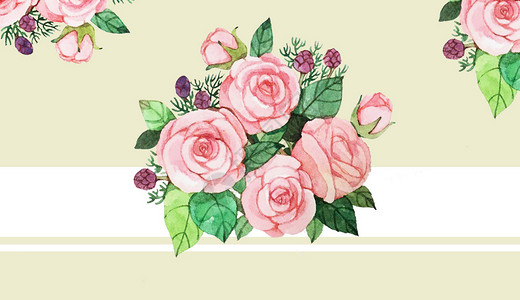 粉色玫瑰花边框花卉插画
