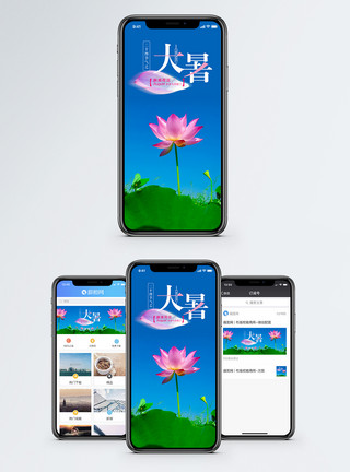 莲花大暑手机海报配图模板