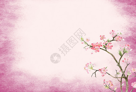 樱花水彩元素花朵背景插画