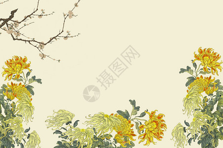 花卉水墨菊花中国风背景设计图片