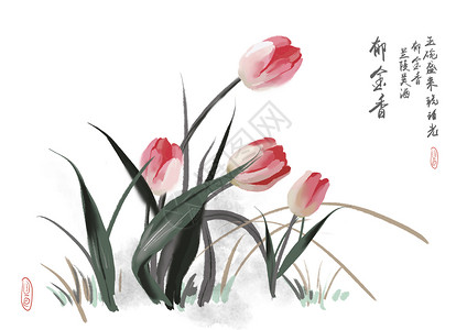 手绘郁金香花卉郁金香插画