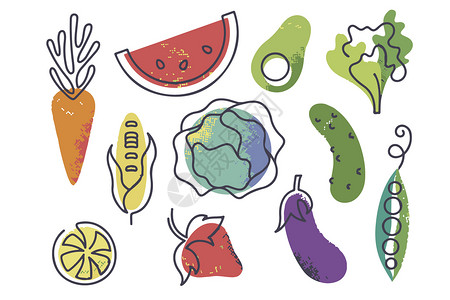 叶子线条水果蔬菜插画