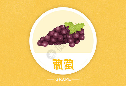 葡萄水果插画背景图片