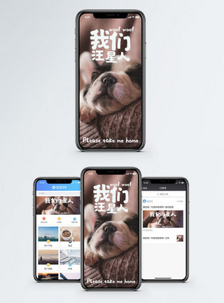 文明养狗宠物生活手机海报配图模板
