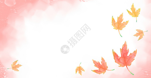 唯美水彩枫叶插画背景图片