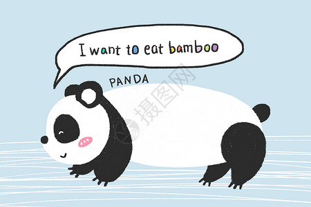 简约儿童画册封面熊猫动物手绘插画插画